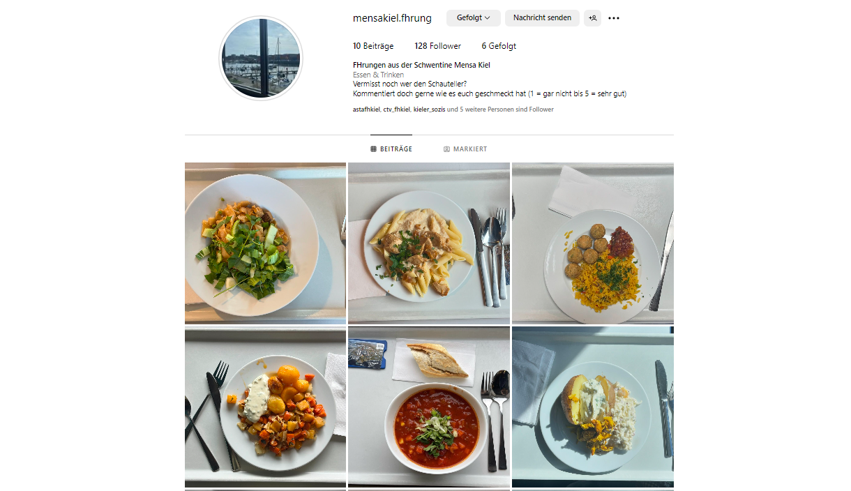 Screenshot eines Insagram-Accounts