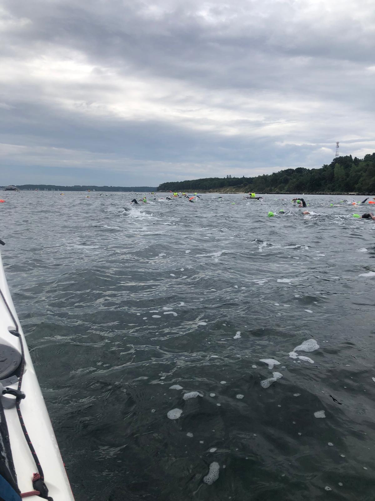 Schwimmer in der Kieler Förde