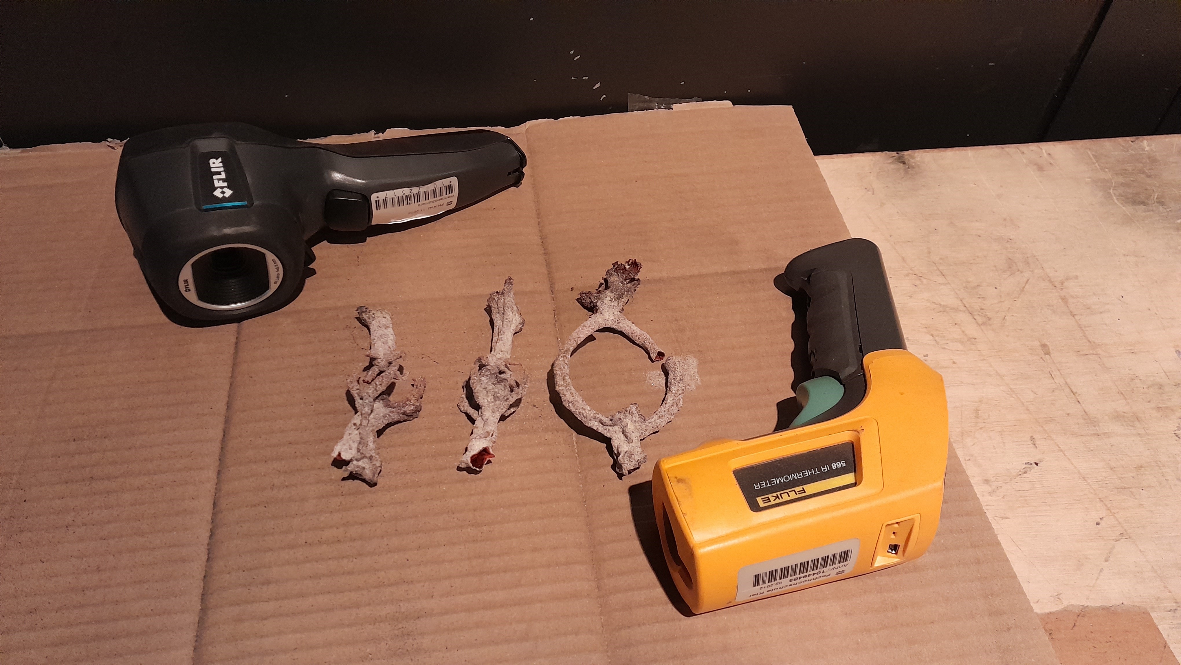 Blick auf Fulgurite, die auf einer Pappe zwischen zwei Temperaturmessgeräten überwacht abkühlen