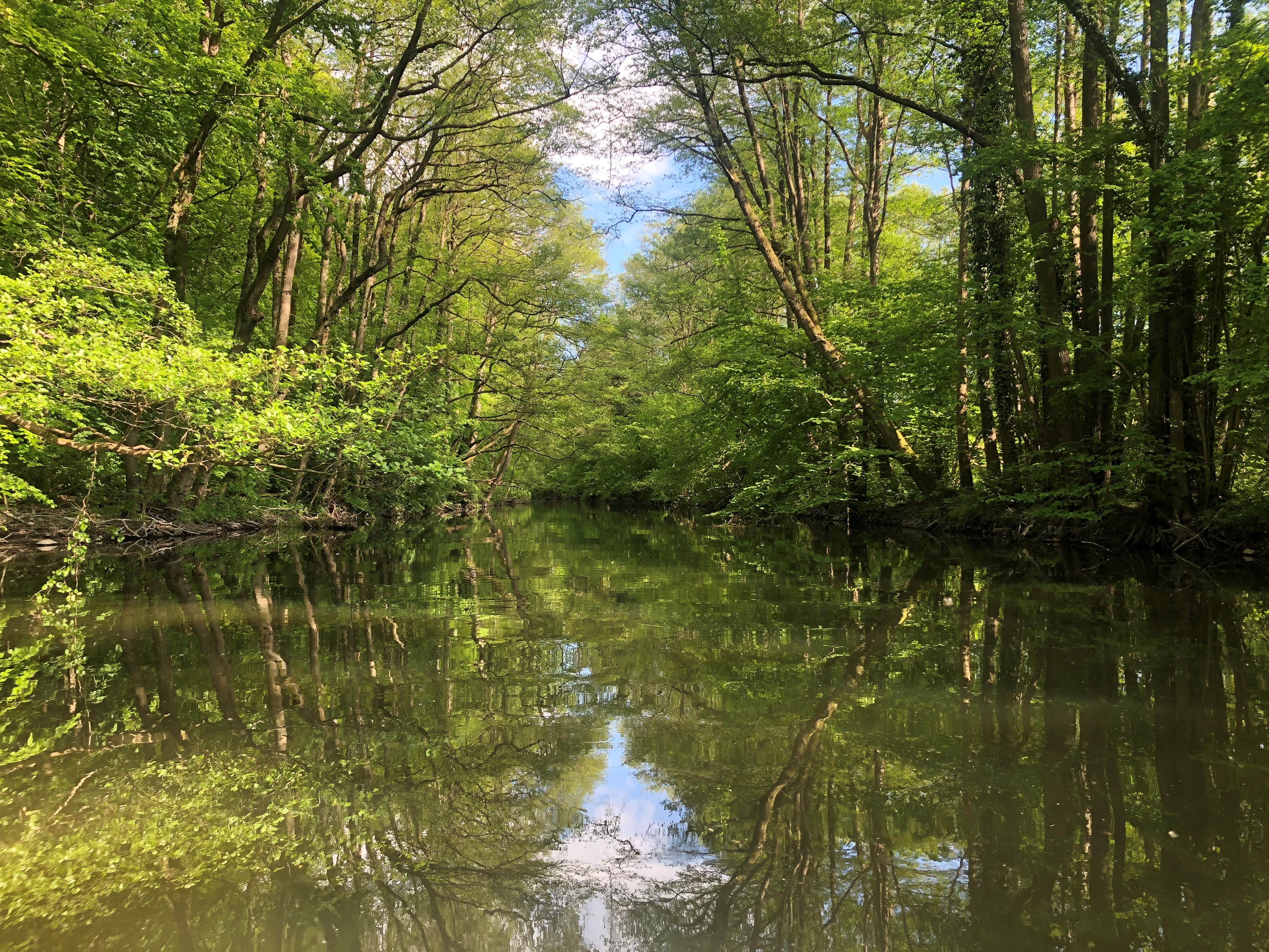 Fluss