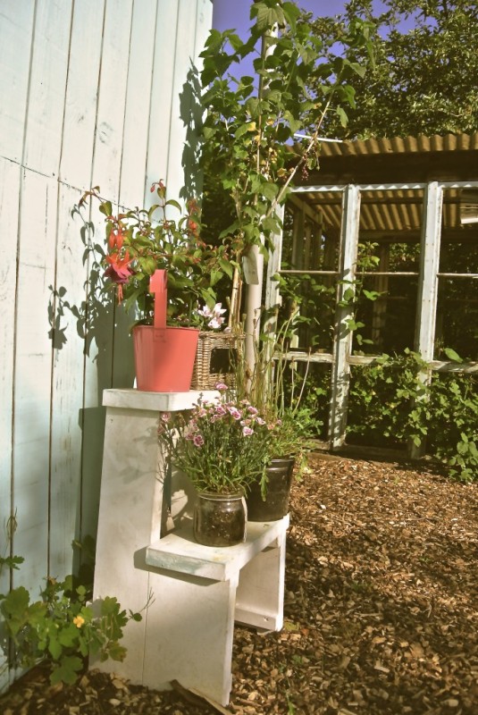 Zwei weiße Bretter halten ein Paar grüne Pflanzen, in einem Hinterhof.