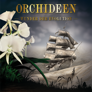 Titelbild Orchideen