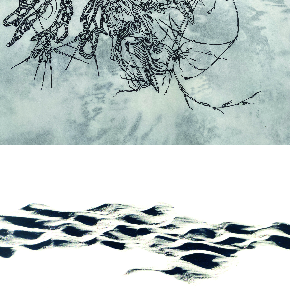 Abstrakte Schwarz-Weiß-Darstellung mit feinen Linienstrukturen im oberen Bildbereich und wellenartigen, schattenähnlichen Formen im unteren Bereich.