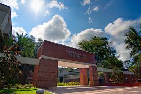 University of Florida 