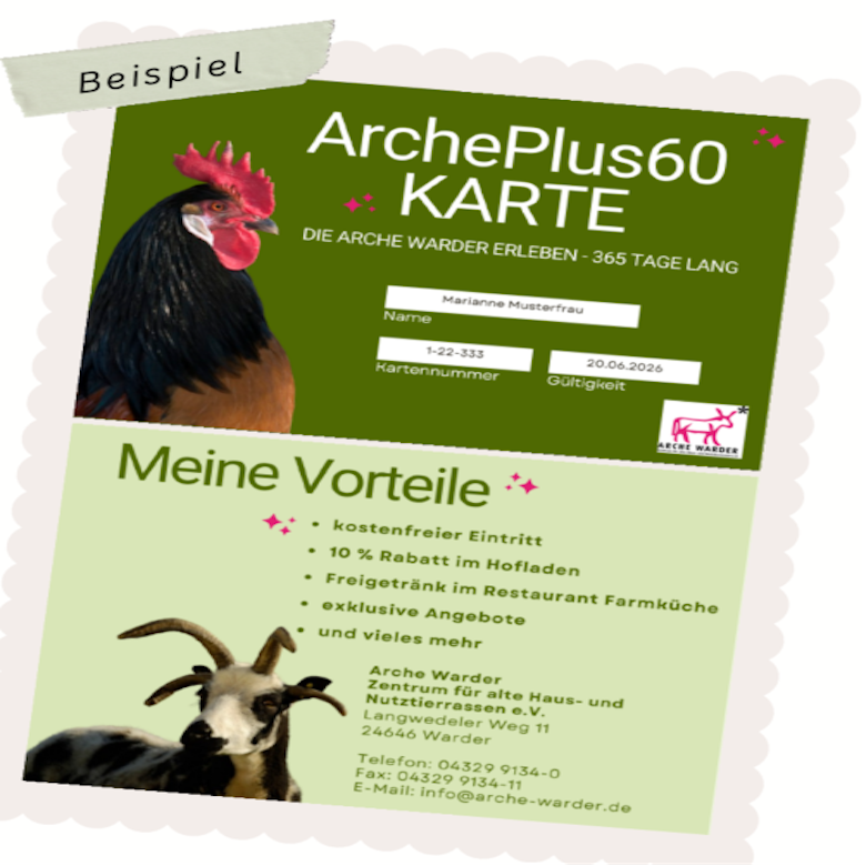 Entwurf der Jahreskarte für Menschen über 60 Jahre